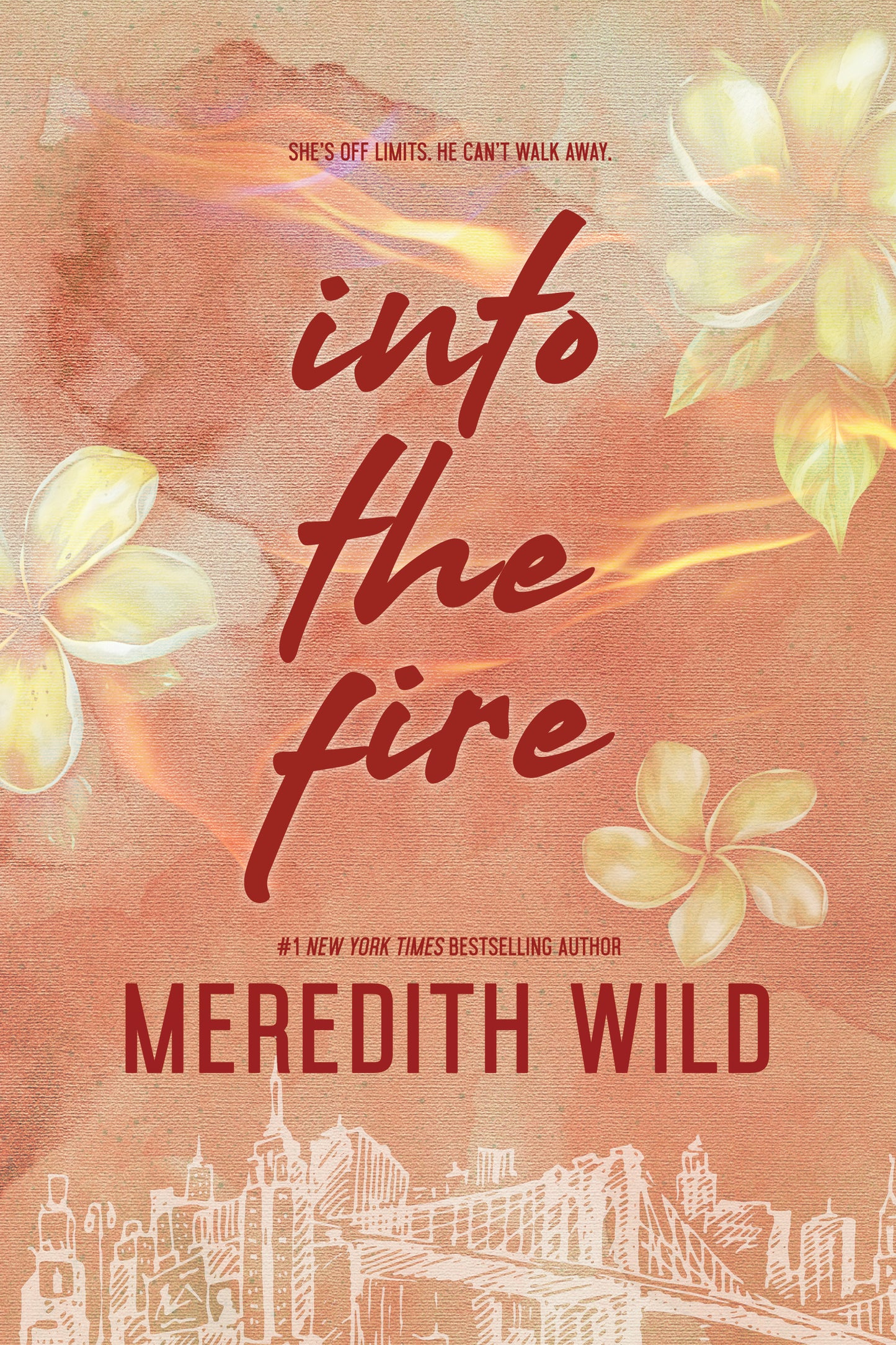 The Bridge Series Paperback Bundle by Meredith Wild