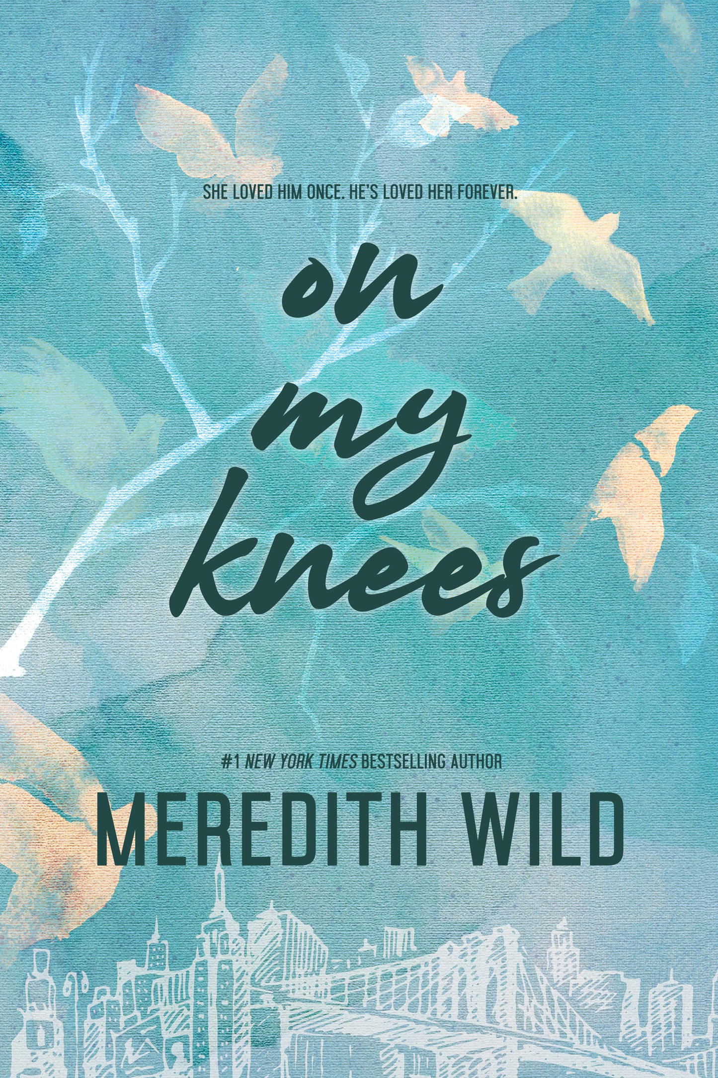 The Bridge Series Paperback Bundle by Meredith Wild