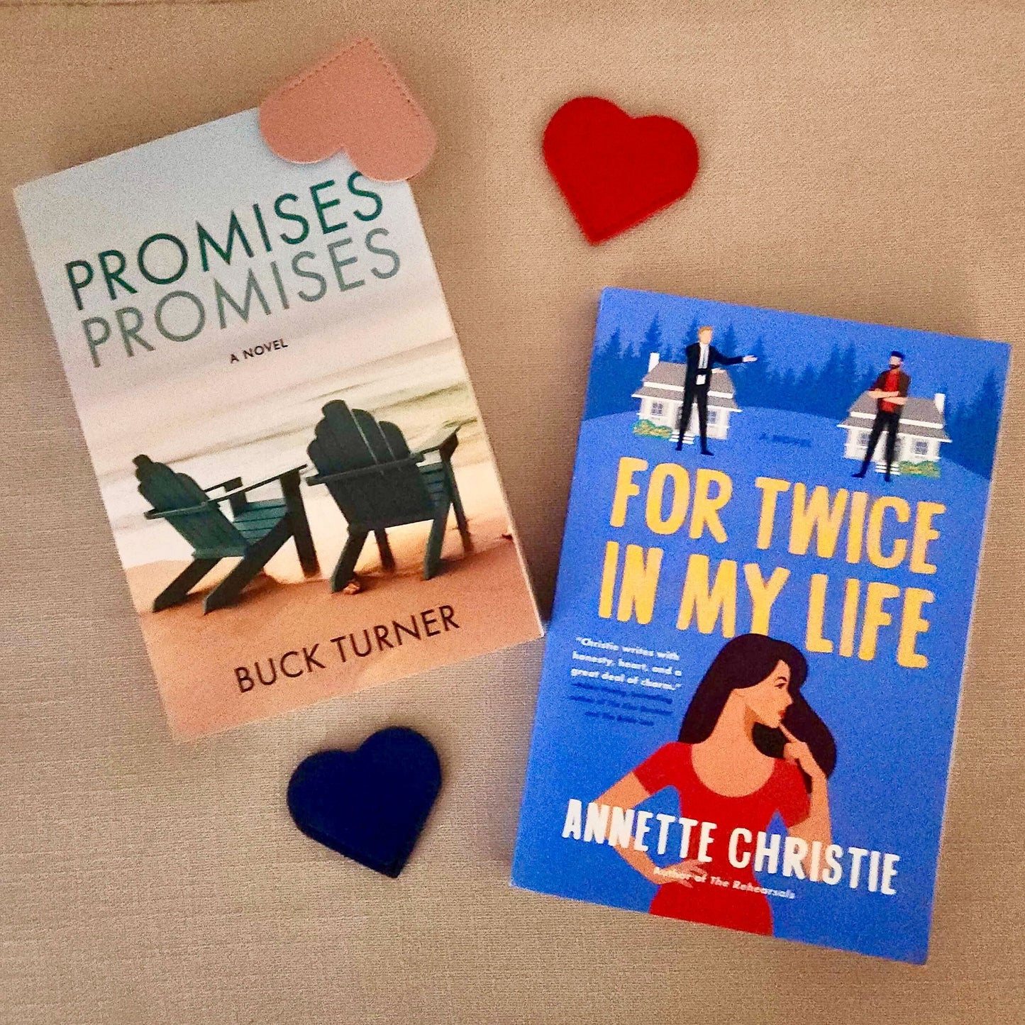 February Book of the Month One-Time Purchase | Promises Promises | Buck Turner