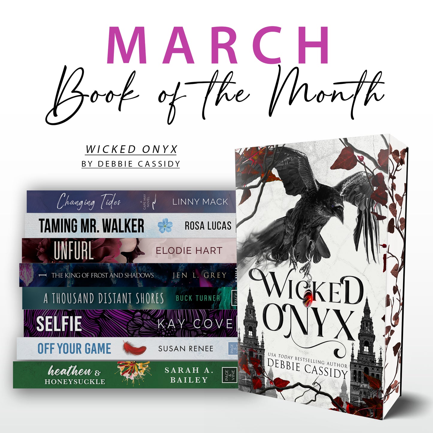 Page & Vine Book of the Month