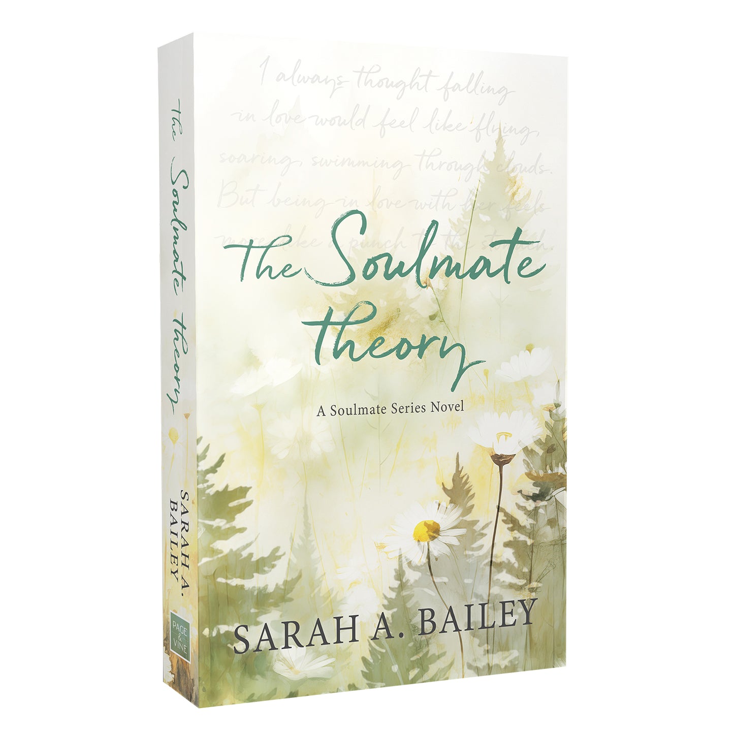The Soulmate Theory | Sarah Bailey