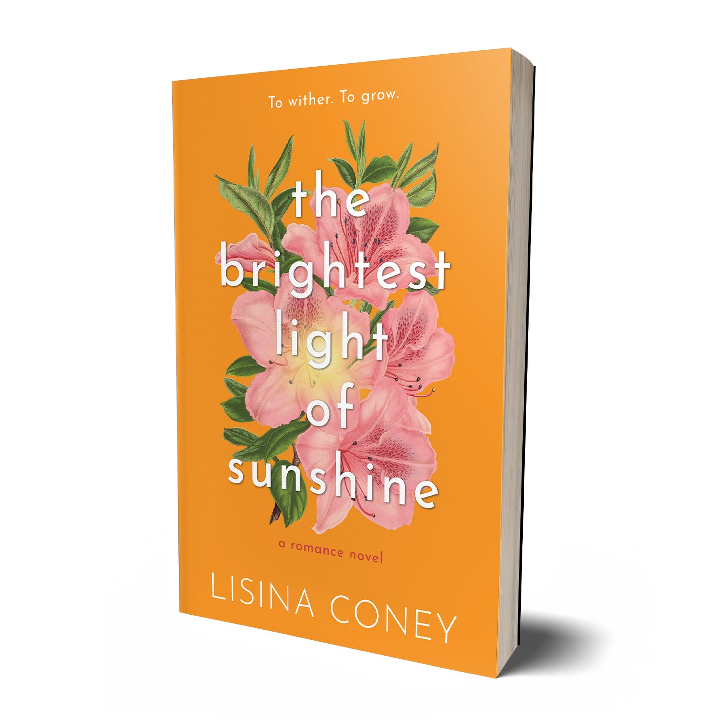 Brightest Light of Sunshine | Lisina Coney